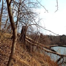 Kreidebruch bei Berglase