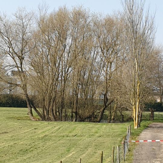 Uitgegraven drinkput, door enige begroeiing omgeven