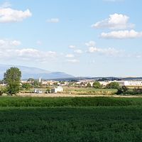 Cijuela