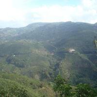 cantone di León Cortés Castro