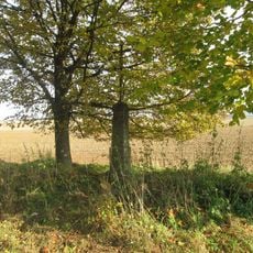 Kříž severovýchodně od Srbic