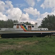 Белуга
