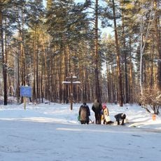 Rodniki gory Vesyoloy