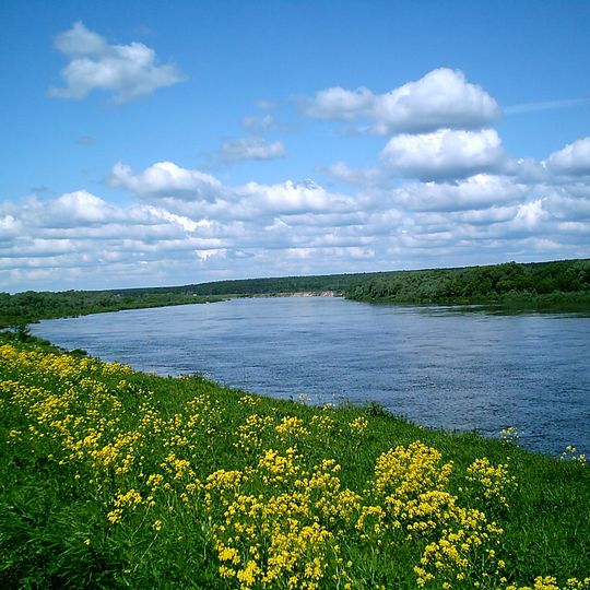 Yasnogorsky District