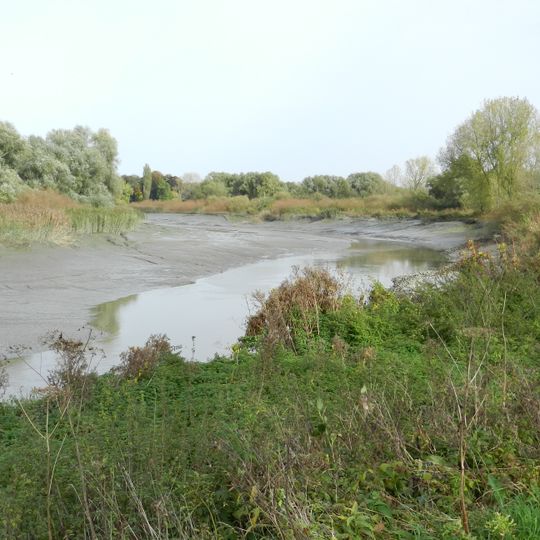 Gemene schoren van Hamme