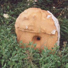 Milestone, between Worksop and South Anston