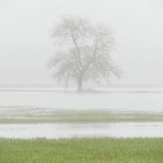 Bliesaue zwischen Blieskastel und Bliesdalheim