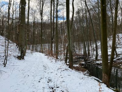 Winter 3