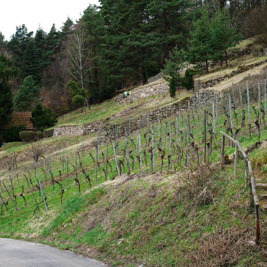 Steppenheidehang an der Gehrenhalde