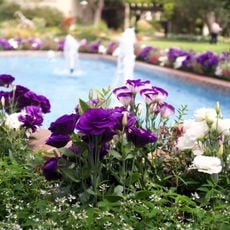 Sherman Library and Gardens