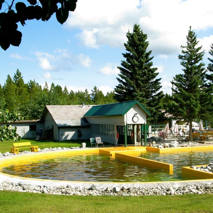 Takhini Mineral Springs