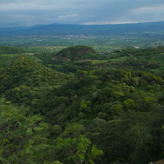 Ameca