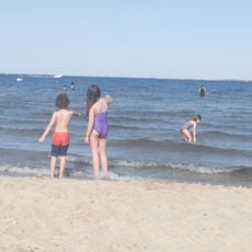 Shore Beach