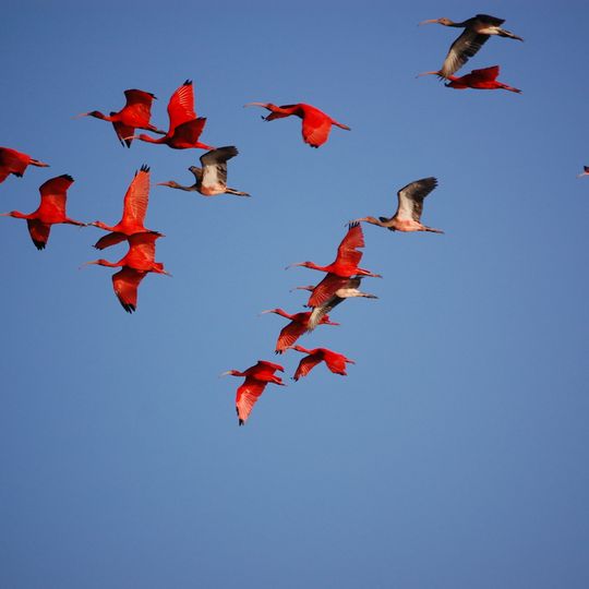Área de Proteção Ambiental Delta do Parnaiba