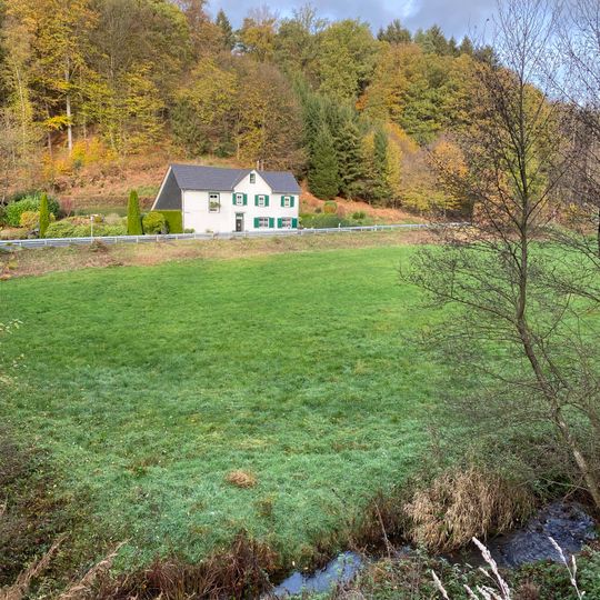 NSG Schwarzenbachtal