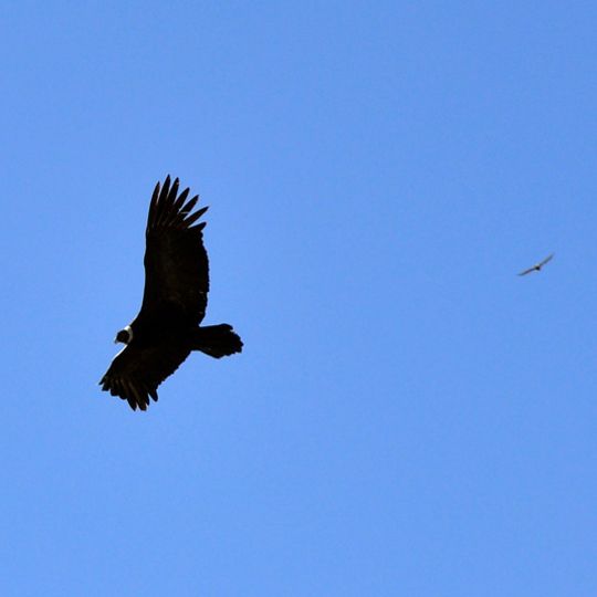 Quebrada de los Cóndores