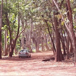 Forêt classé de Kakimbo