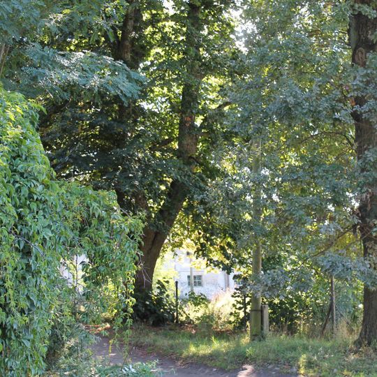 Park pałacowy z alejami dojazdowymi