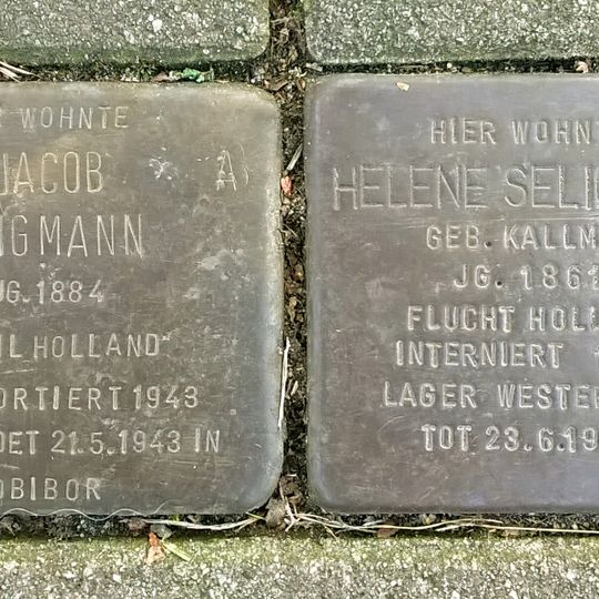 Stolperstein dedicated to Helene Seligmann