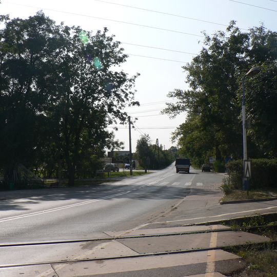 Reguły