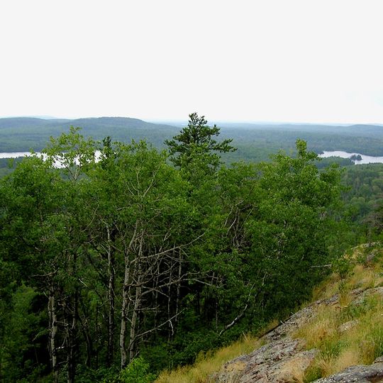 Superior National Forest