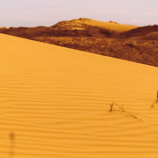 Parc national des sables d'Olechkiv