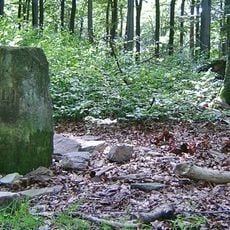 Am Wanderpfad über den Dollberg.