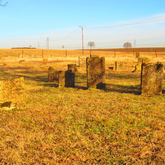 Jewish cemetery in Flévy