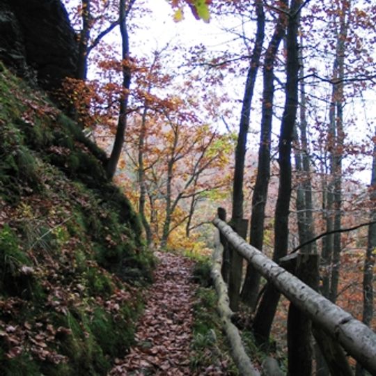 Wildnis-Trail Nationalpark Eifel