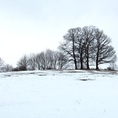 Karrberg