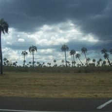 Parco nazionale di El Palmar