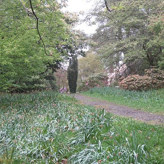 Achnacloich woodland garden