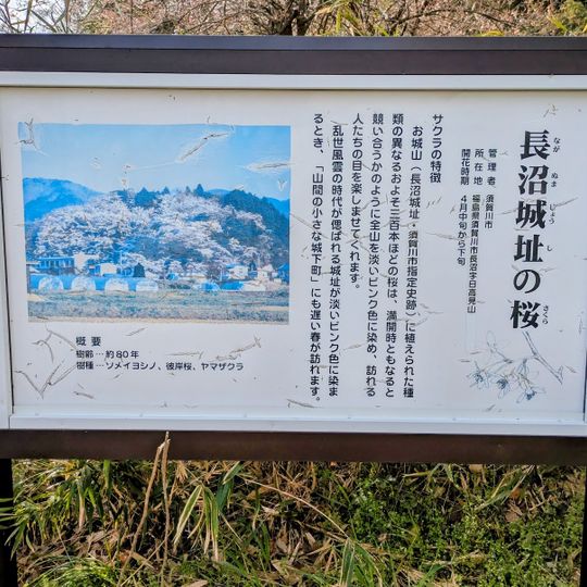 Naganuma castle