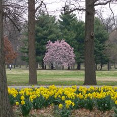 Tower Grove Park