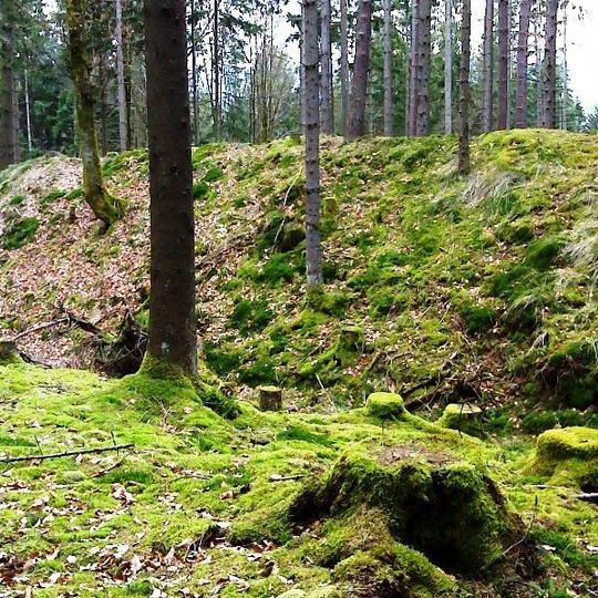 Burgstall Siedelberg