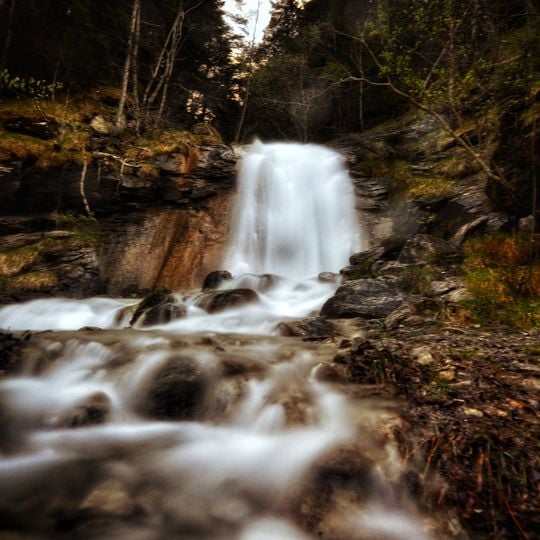 Parc naturel du Gran Bosco di Salbertrand