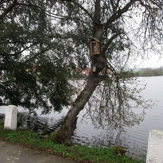 Obrázek na hrázi rybníka Klusák