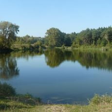 Staw Młyński (Naramowice)