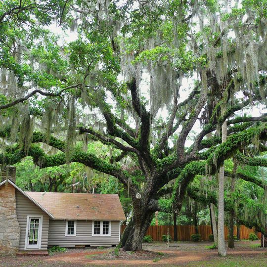 Washington Oaks State Gardens