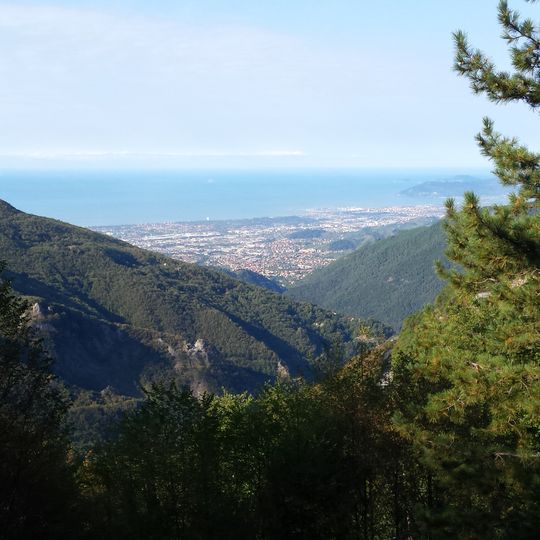 Orto botanico delle Alpi Apuane Pellegrini-Ansaldi