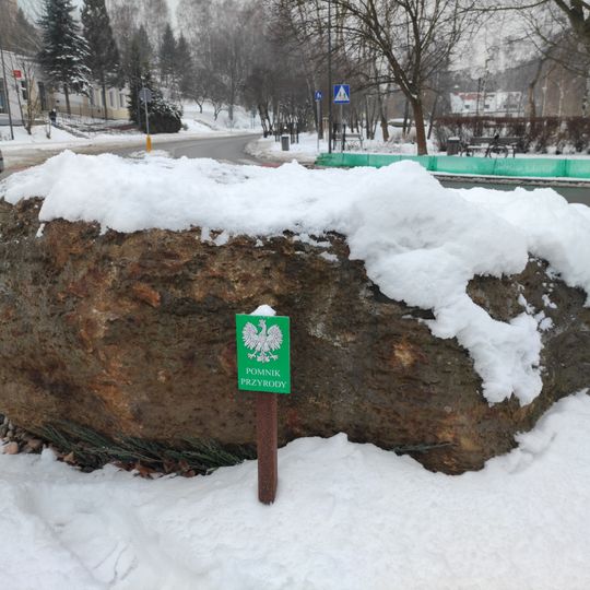 Erratic stone Kamienny Potok