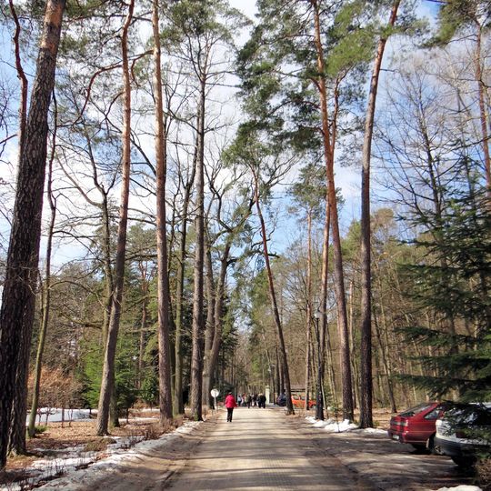 Park in Sanatorium in Rudka