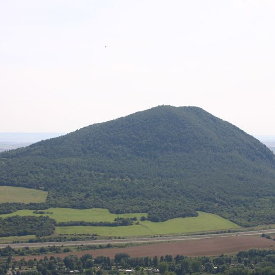 Zlatník