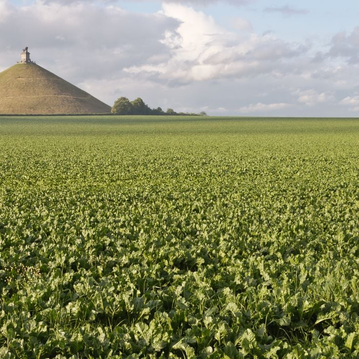 Waterloo Battlefield