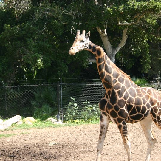 Santa Barbara Zoo
