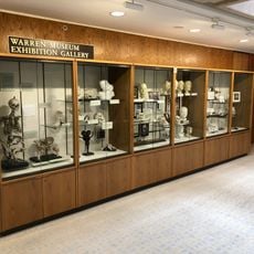 Warren Anatomical Museum