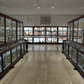 Museo di storia naturale sezione biomedica