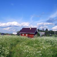 Sokolovskij Poĉinok