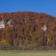 Buchenwälder auf der Albhochfläche