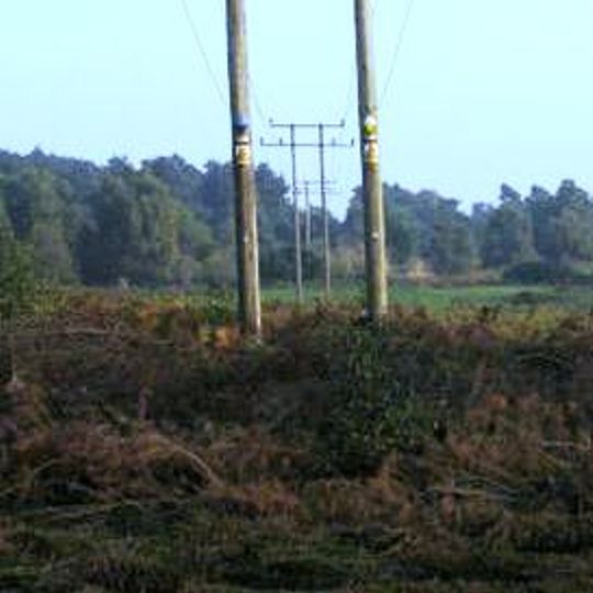 Tunstall Common